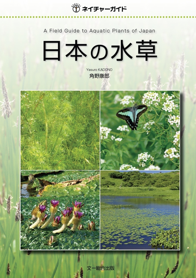 日本の水草詳細情報【植物】 - 図鑑.jp