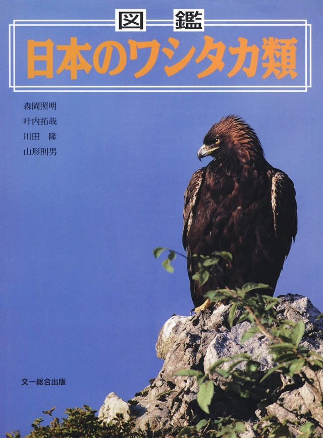 野鳥鳥類学生物学【絶版 美品 初版】図鑑 日本のワシタカ類 文一総合