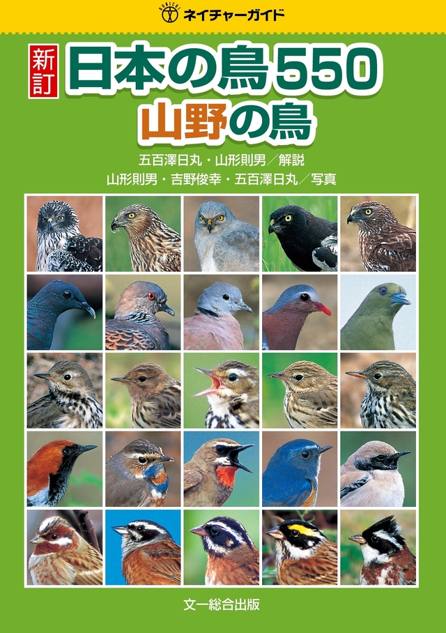 新訂 日本の鳥550 山野の鳥詳細情報【野鳥】 - 図鑑.jp