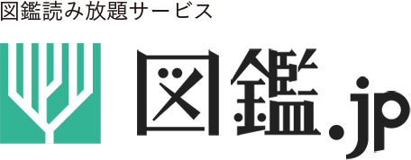 Logo@2x