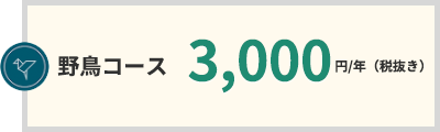 野鳥コース 3,000円/年(税抜き)