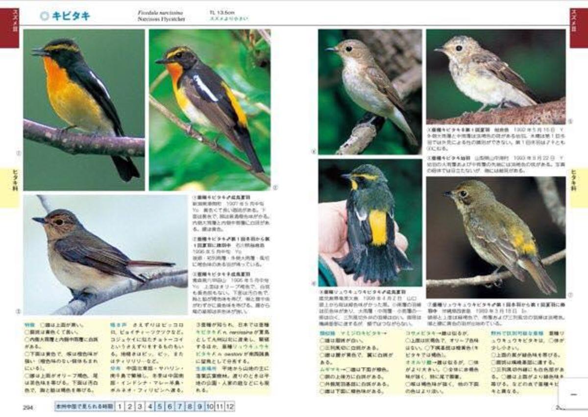 ていねいで分かりやすい決定版野鳥図鑑 日本の鳥550 図鑑 Jp