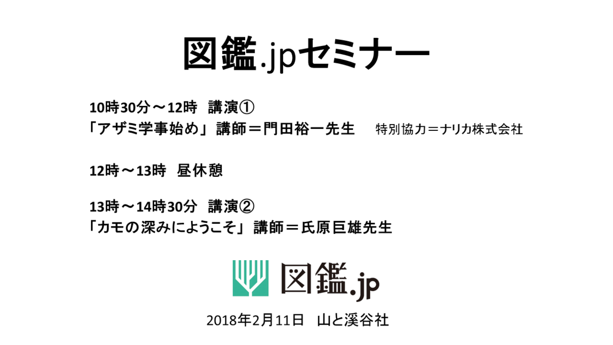 図鑑jpセミナー カモの深みにようこそ １ 特徴ある羽を持つ雄を覚える 図鑑 Jp