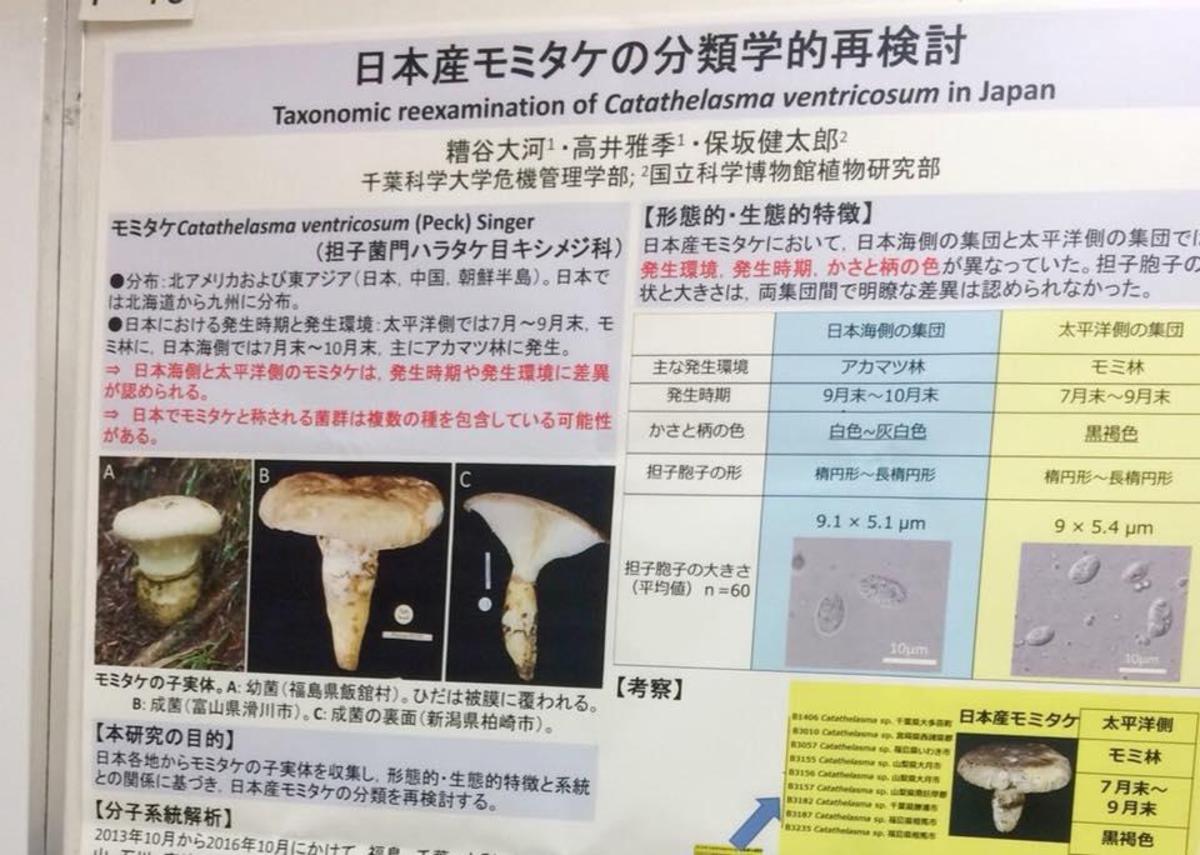 日本菌学会 大会 - 図鑑.jp