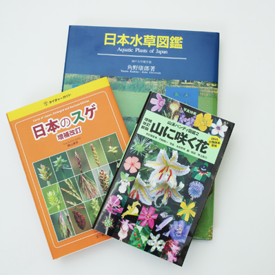 受注生産品】 日本水草図鑑 ノンフィクション/教養 - kintarogroup.com