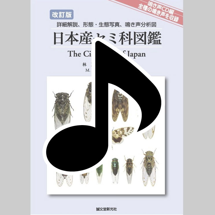 【未開封CD付き】日本産セミ科図鑑　改訂版 51JxiVoHRnL.jpg_BO30,255,255,