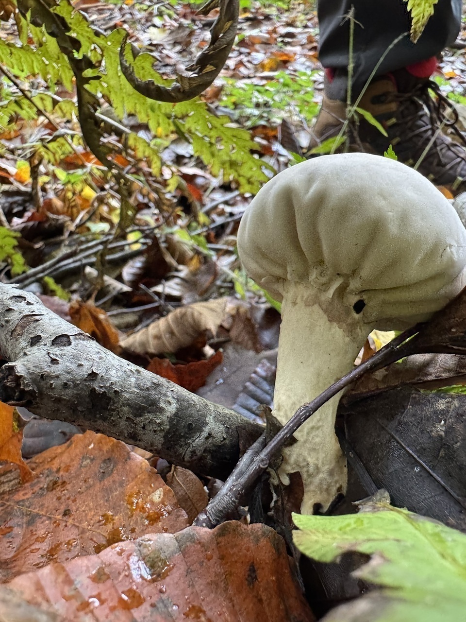 655b9fd72c15f39515005b0372ac02bc64556544