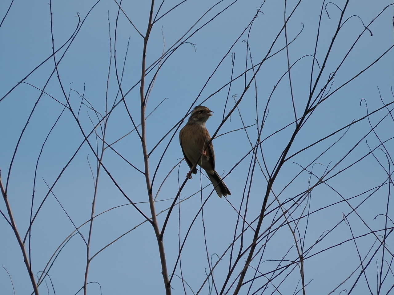 54d4665a0e4239ccdc333d7be79cf40f3c2abe77