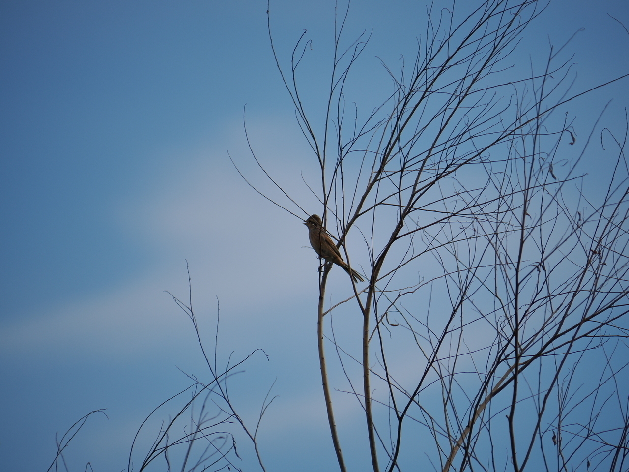 D5ffa53595687fec637e5f1c2d0fc2b5b75998b5