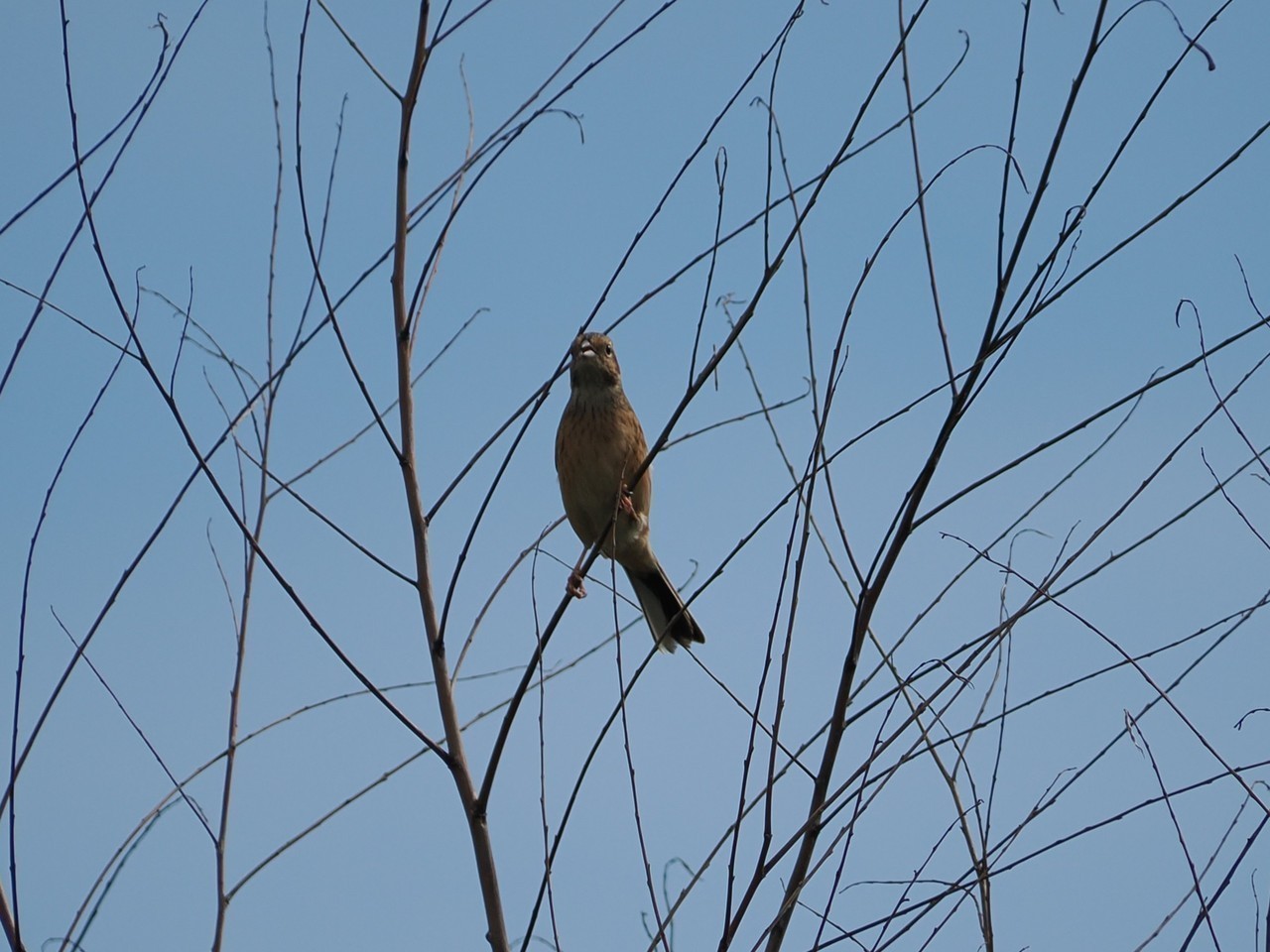 087ef43f559513b23288aa9aafcaa9eb76017823