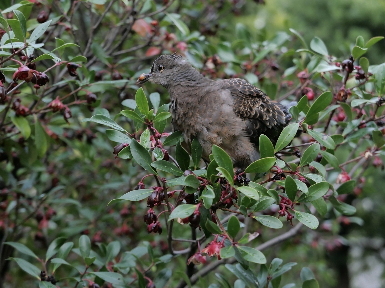 Cd2e93cbcf3a151bd618a4c5f0d38f0494657244