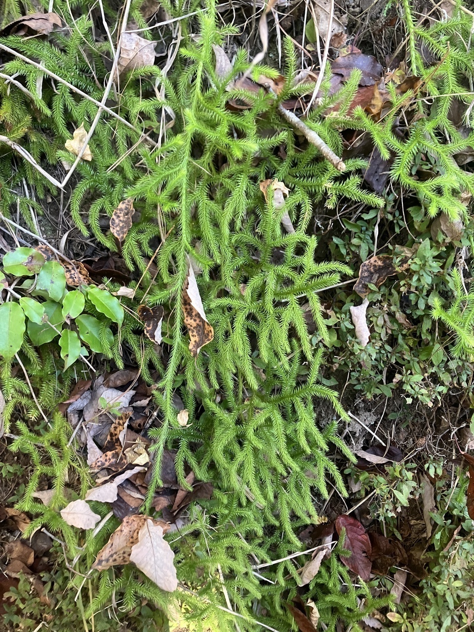 3d3920f2c085dce9d0ec7808d7f9b4bea73fd628