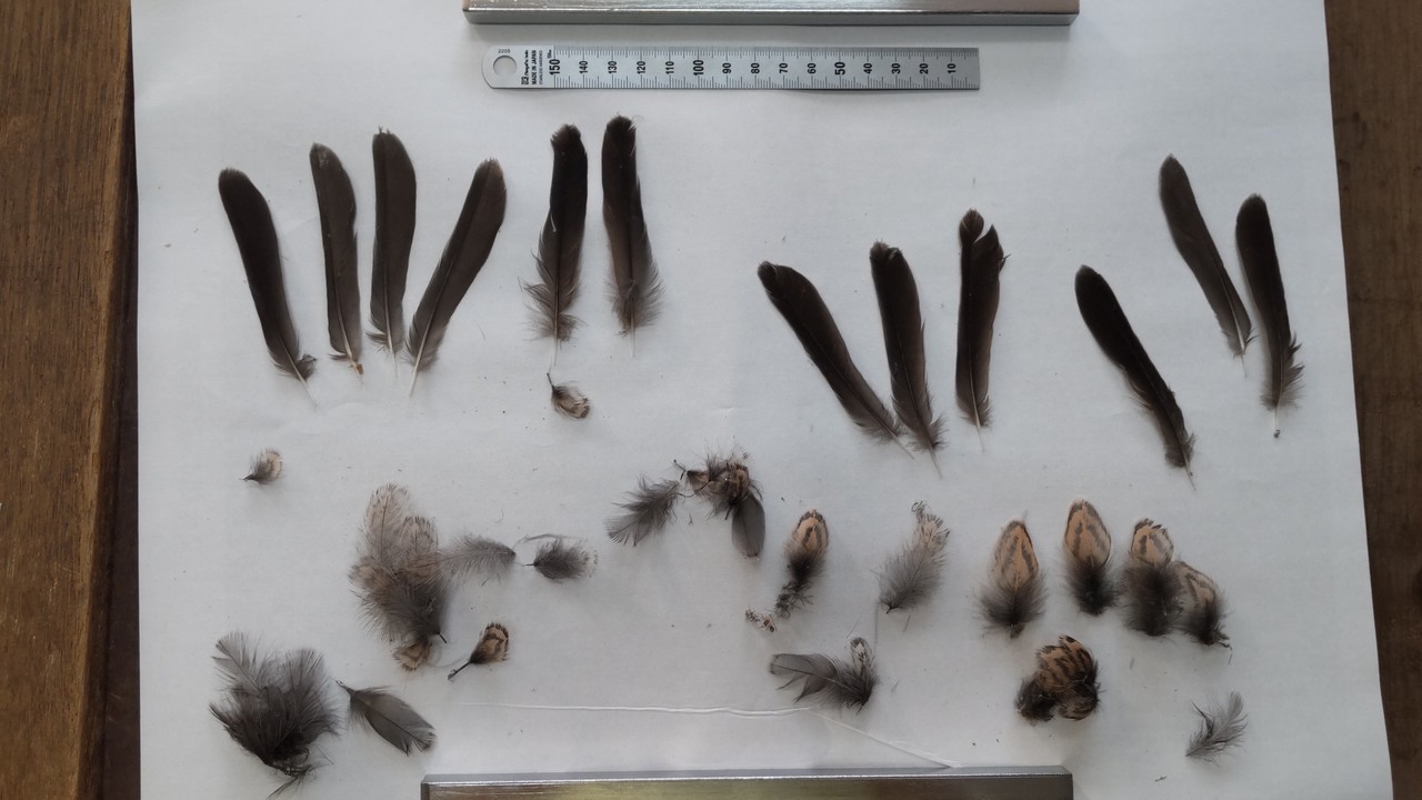 7f05b4b05fcb7cd60f6b88018b7f5d9cde49ddc6