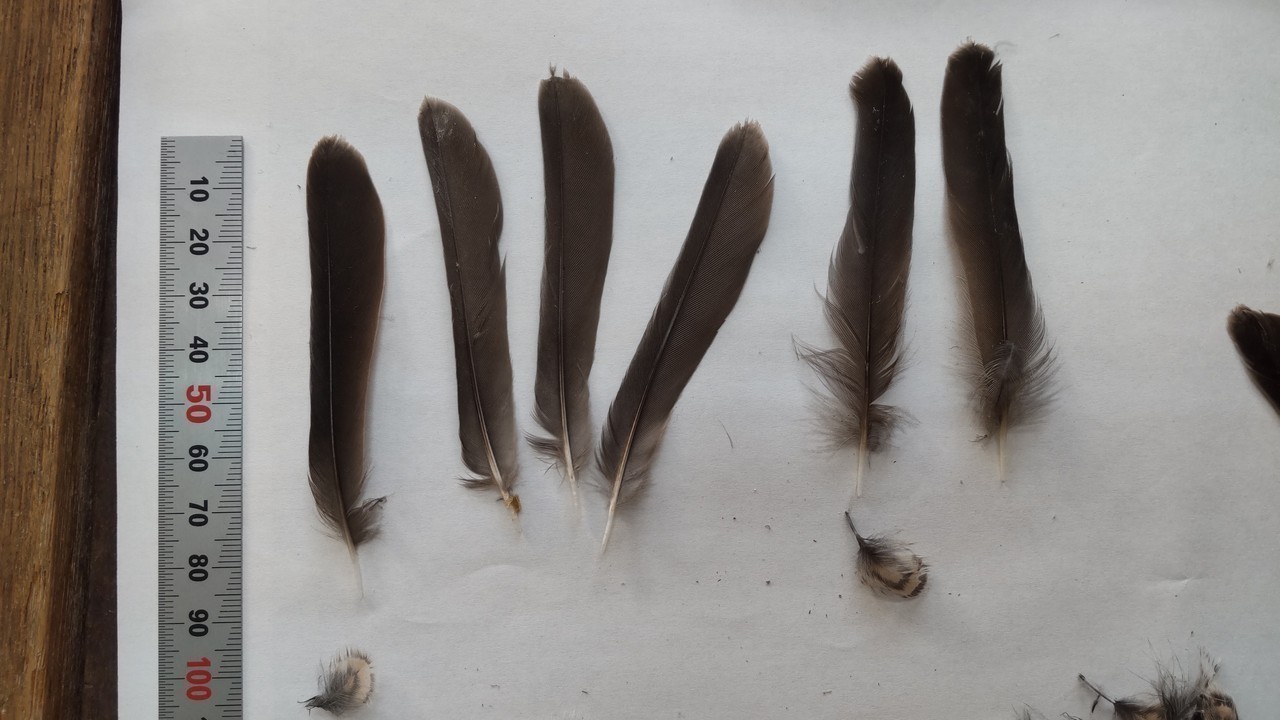 D7d0a7d037df4b85c5f80d976d28bd7329ce6c7d