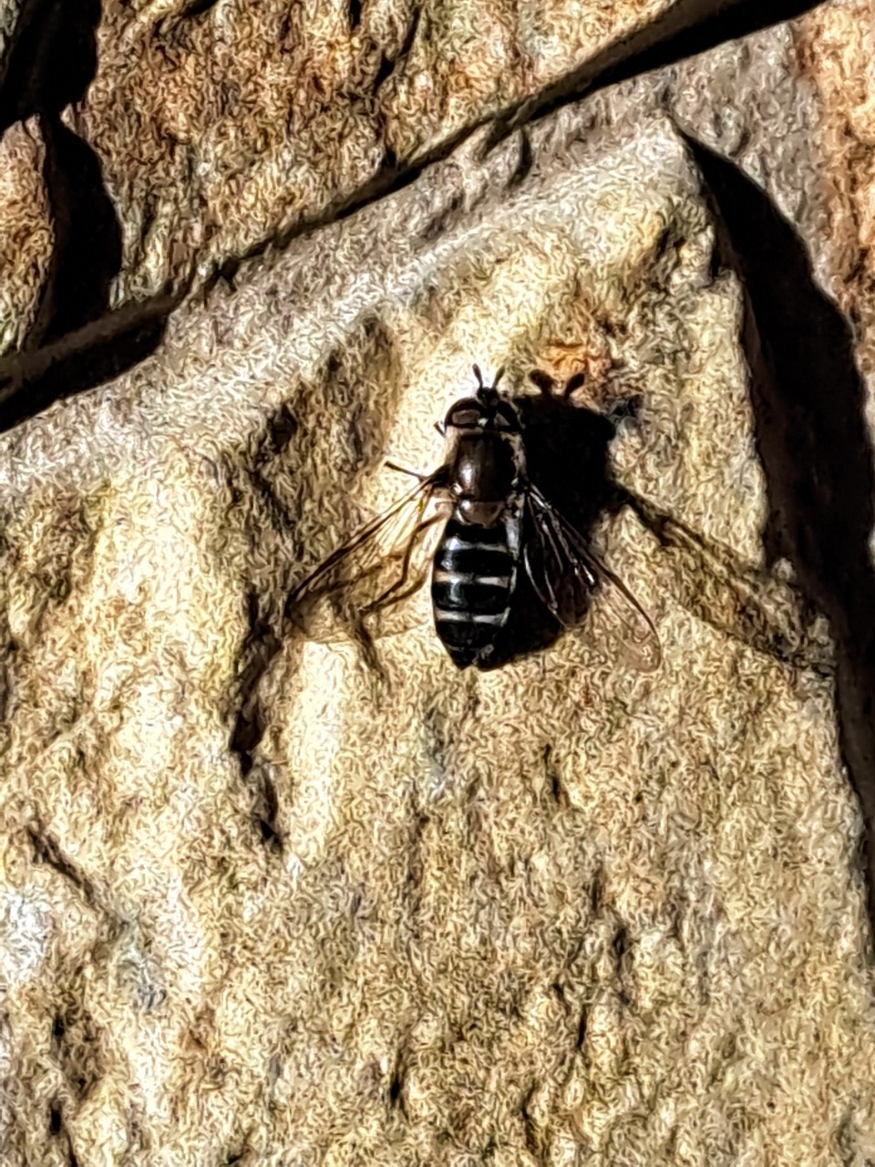 Bb4d8047f841a07dab40d4b81c6aae5f75706f1d