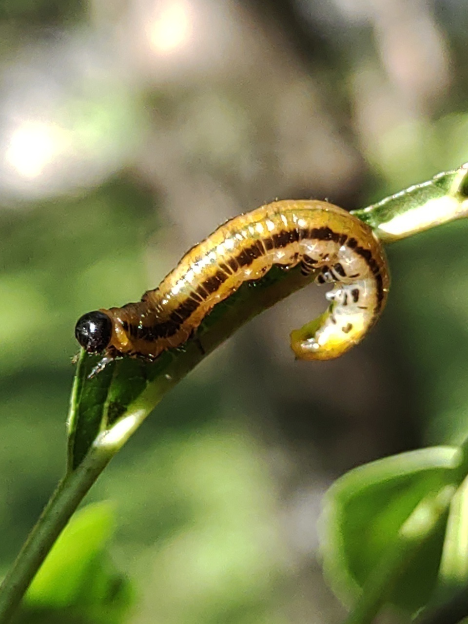 575061e5855bae149a02d88d09a4ece6e3309e1d