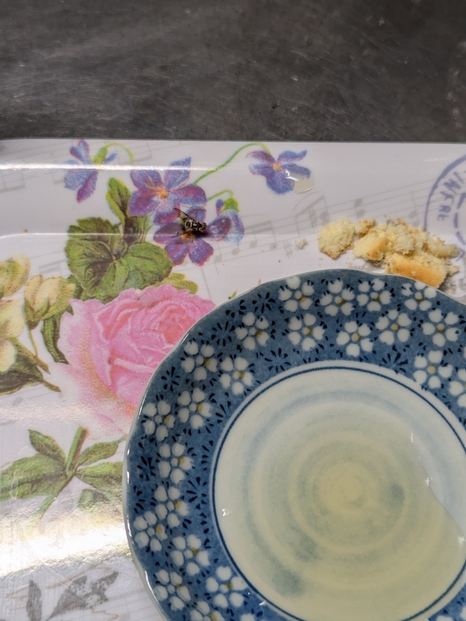 21673408bad844565eb680f7057726ed902b6418