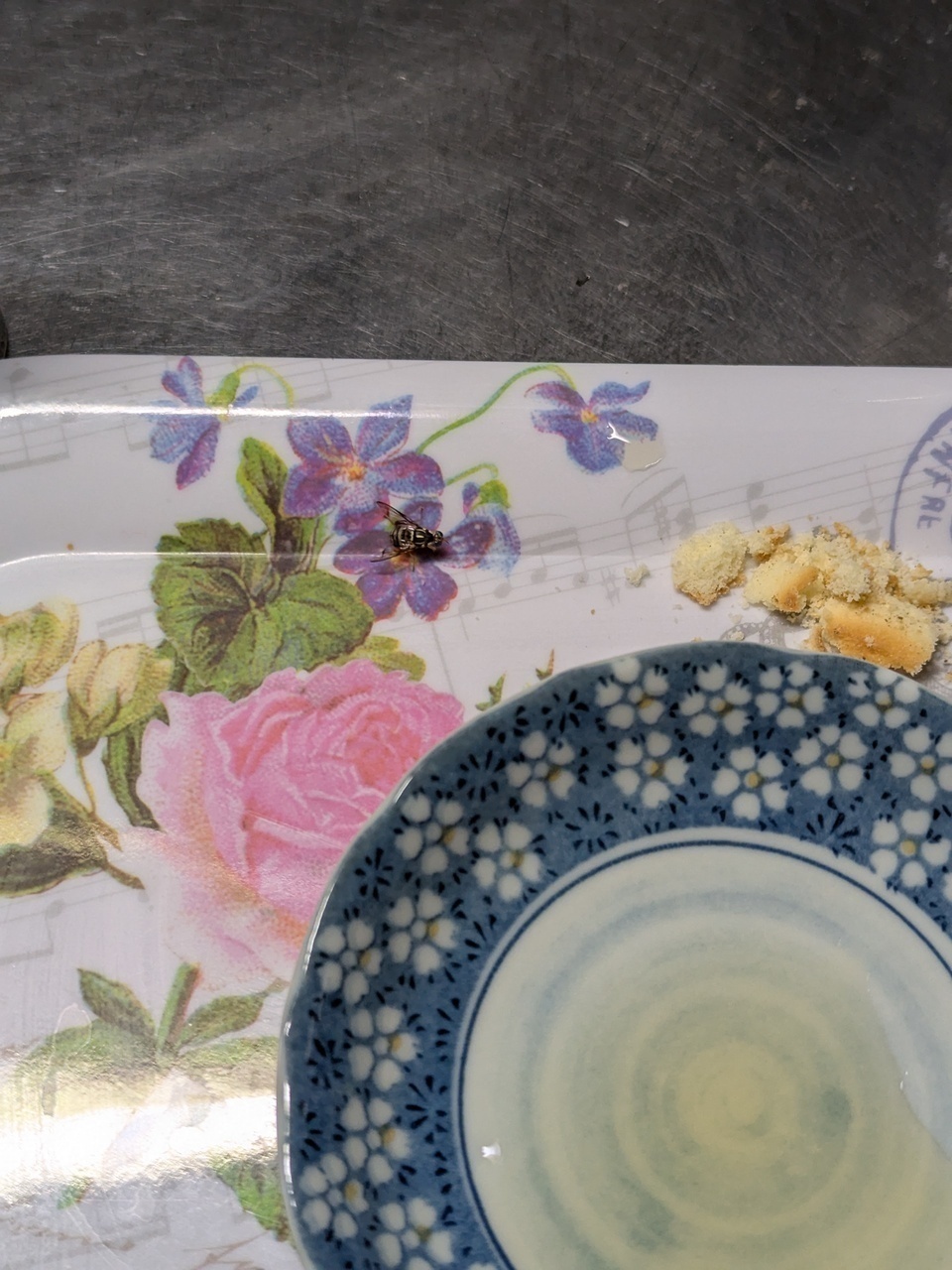 Bf82bb8c3c9c5791a264bef3f4eea66ac1f505f9