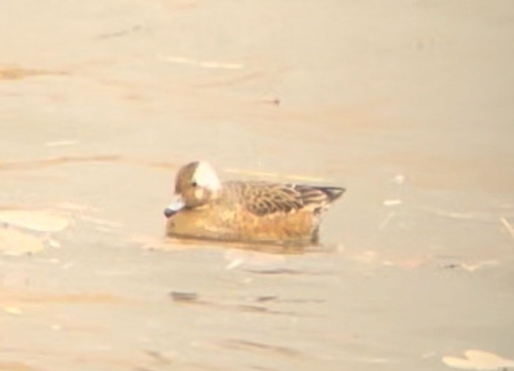 6aeaf735f63fb9a406502554c95fe56cda5fb18d