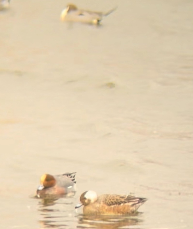 8445ba899baf22663783f9fe5946c5751dcdbc64