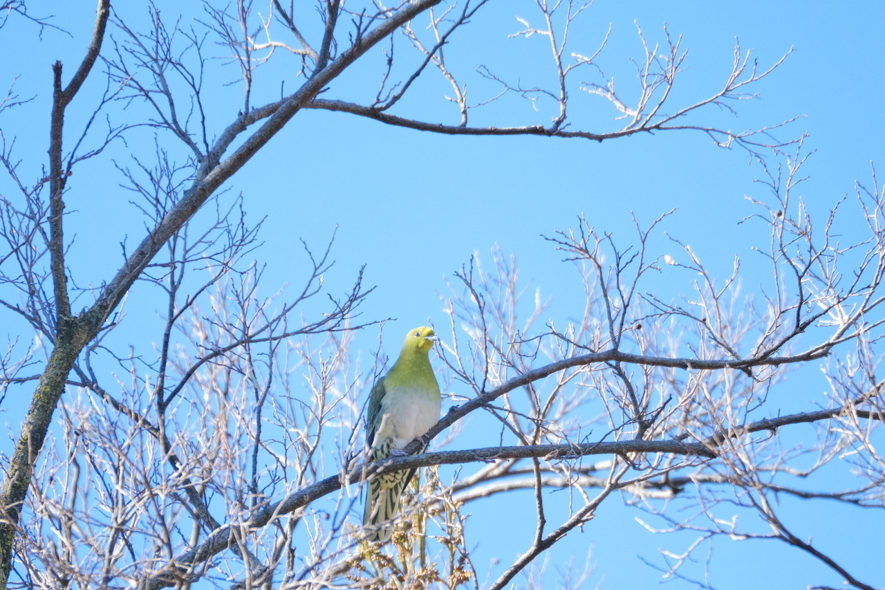 B968b341c61eefca8be3d38309e4dee4acb92e58