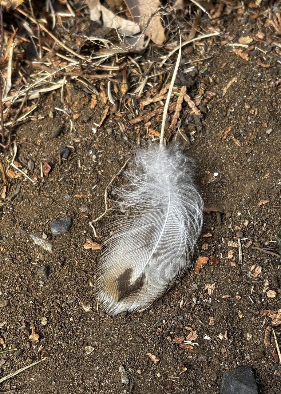 98b598081c7ccac375cfe782dc5fae36ebb3db5b