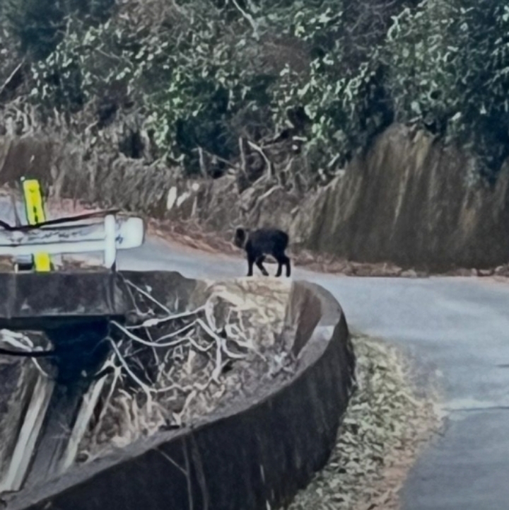 7564b7cb1881b9d89df43a8e807f9e38e6055dbc