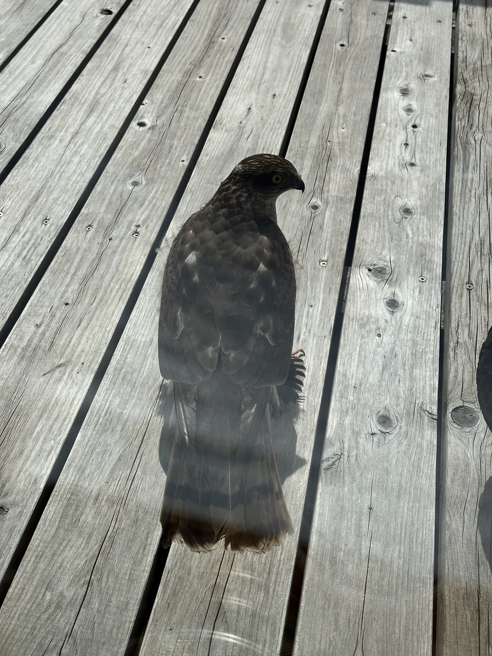 Fb211b2fc6211b863ae790acdd5309a9fb06b148