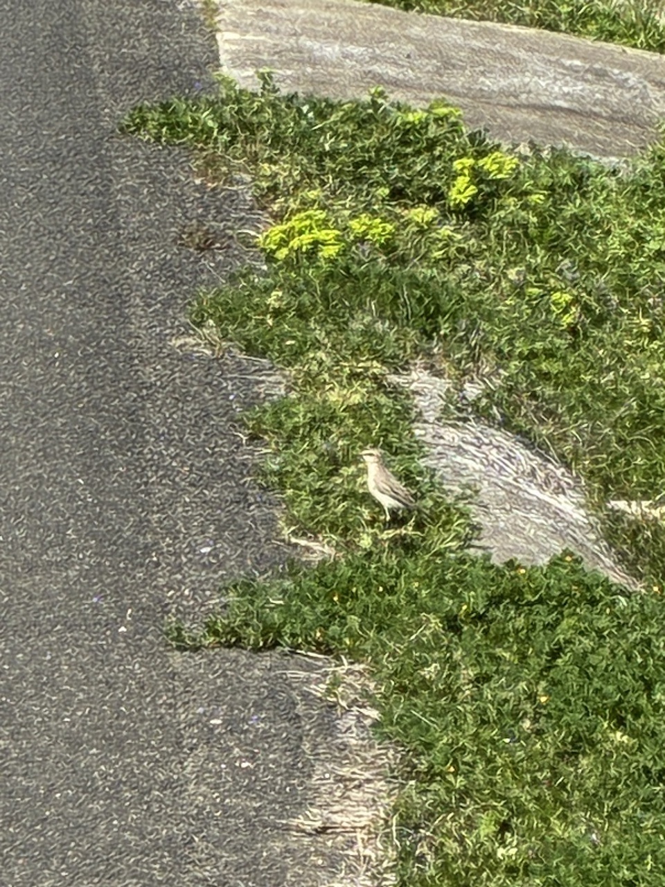 D5d53dc015e9c88cccb0d152b76fa28c28b49017