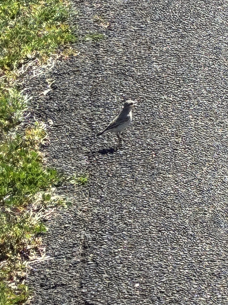 5090aef7feef67ba1d75bfec79a911aa8fb9345a