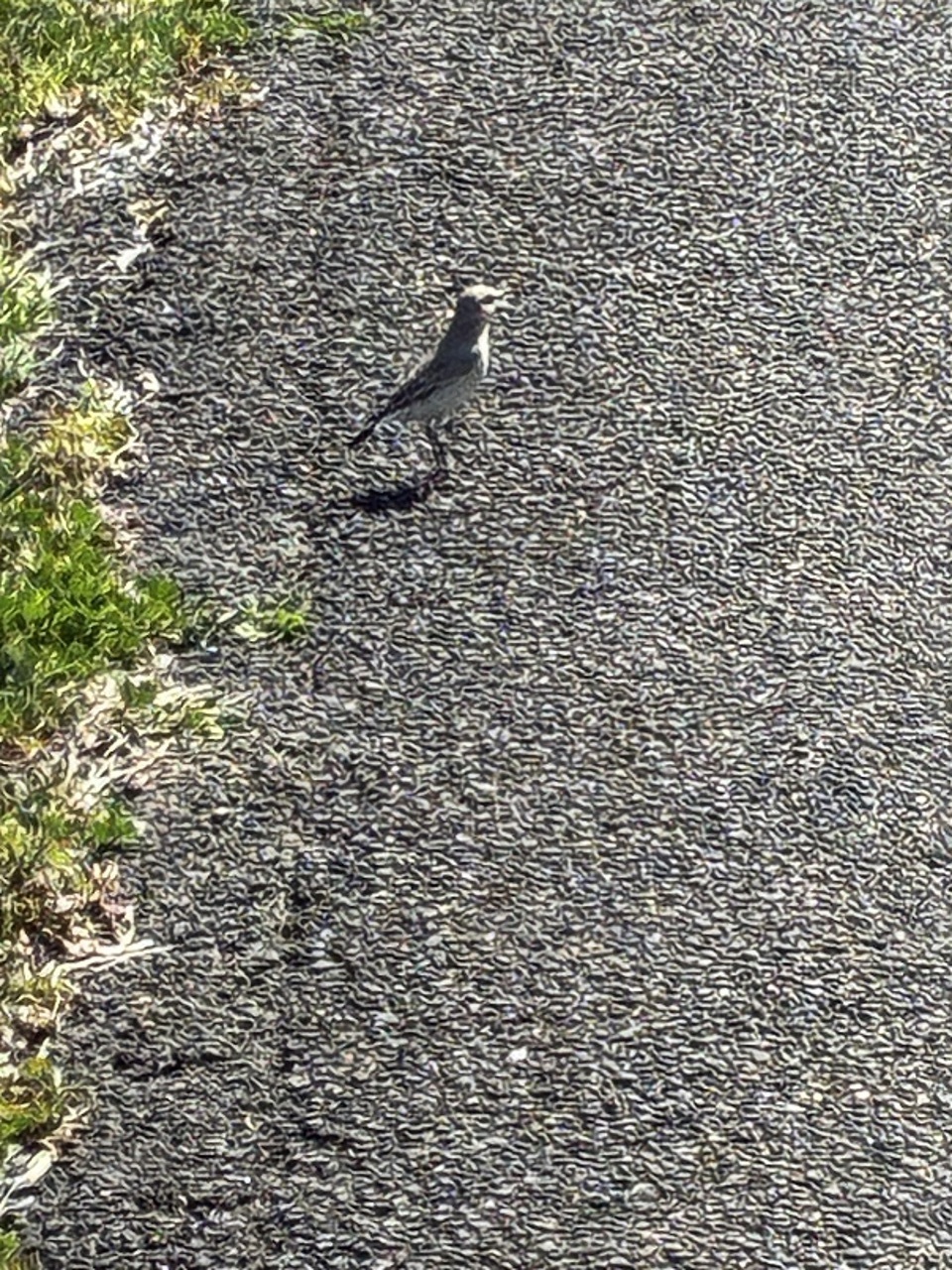 0064984a445e9ec10518c9513f6a26fe1b570fd3