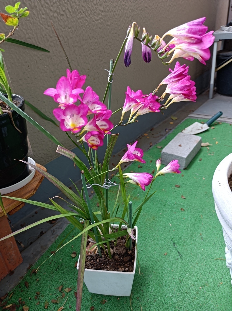 6e099d33cd7cfcaba07f2a548ff4ec665bf80b85