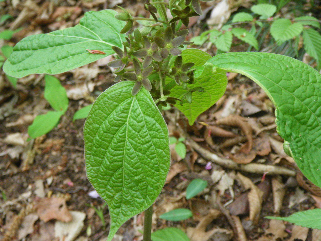 Db158e7bf30357629a895e81b4cdb5add47af639