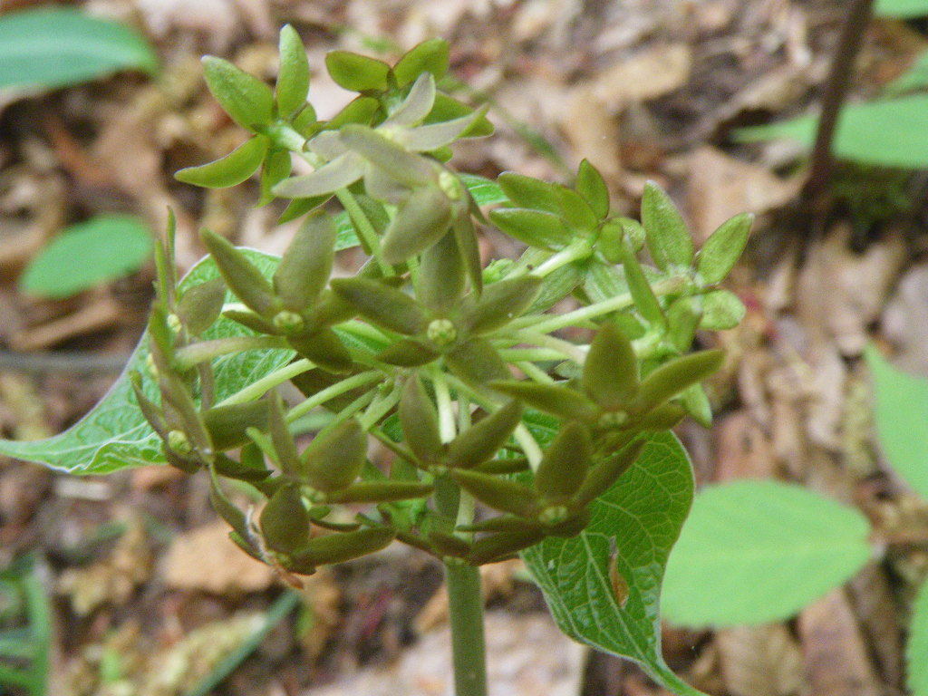 856a57c3370194e1b89ed5723cad65d5ecb6aa24