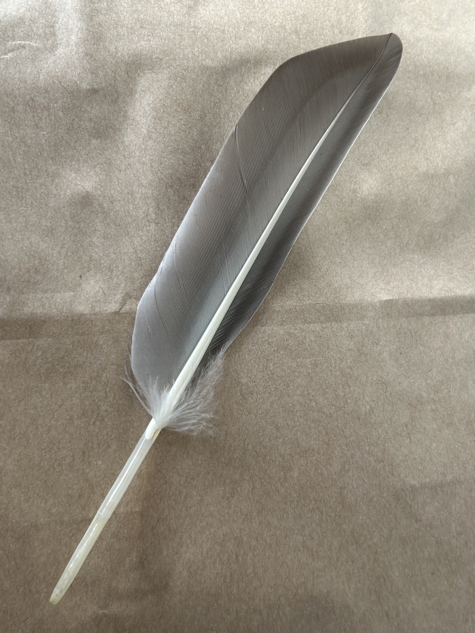 1bb60c385183d6b80bb3bf6b6d84f0383bf59bfd