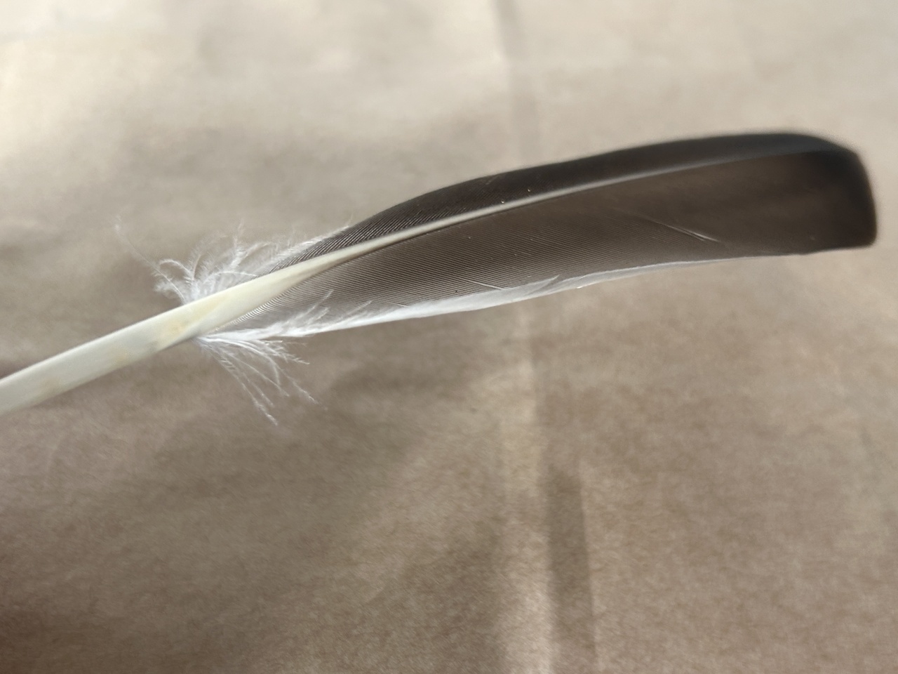 Efb2a2c49bcb7e8ad72a305d395bad37e5e0f8e4