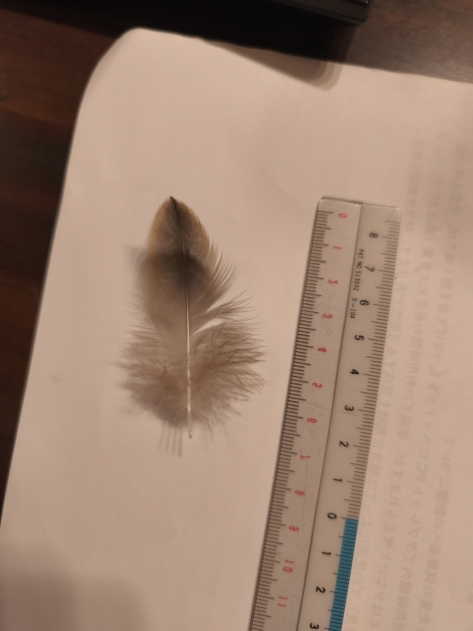 630f3cf3df239ce834d99dbbecbfadea71ea013b