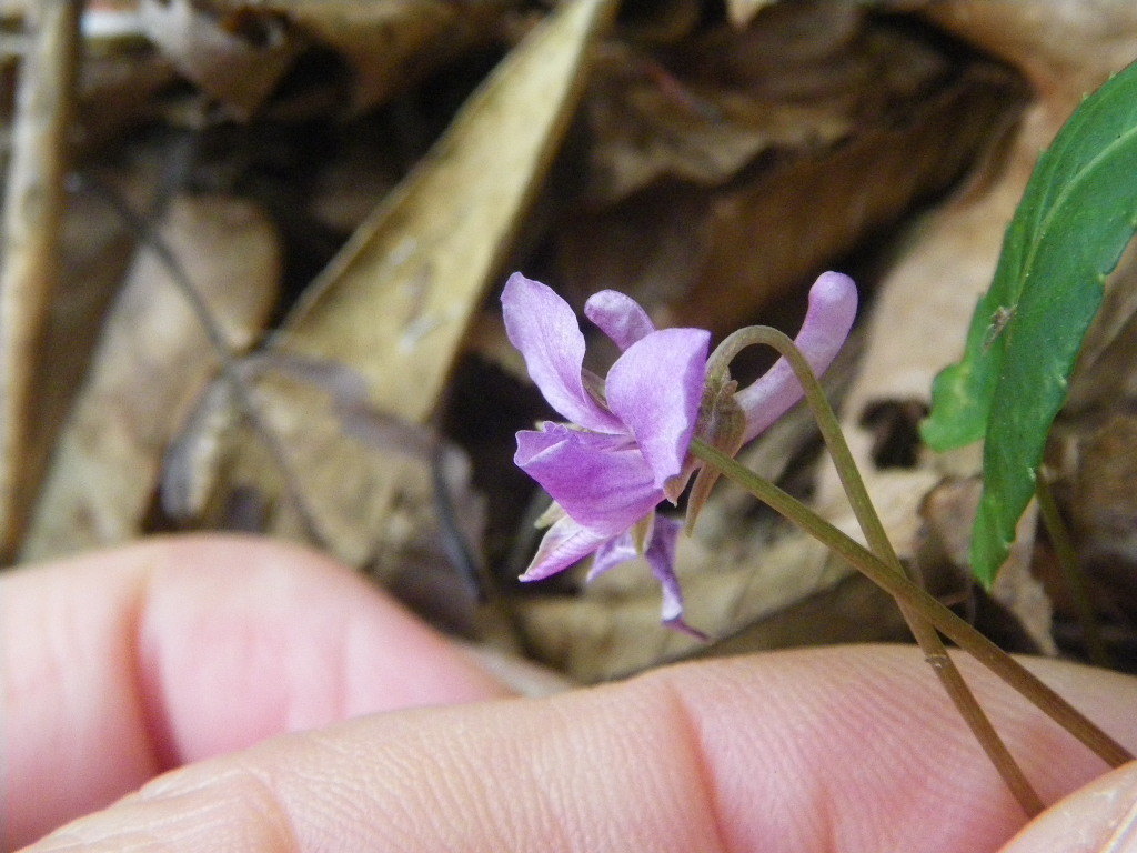 F2aa959cf863e8afd30aa35ee7cc10962c815b04