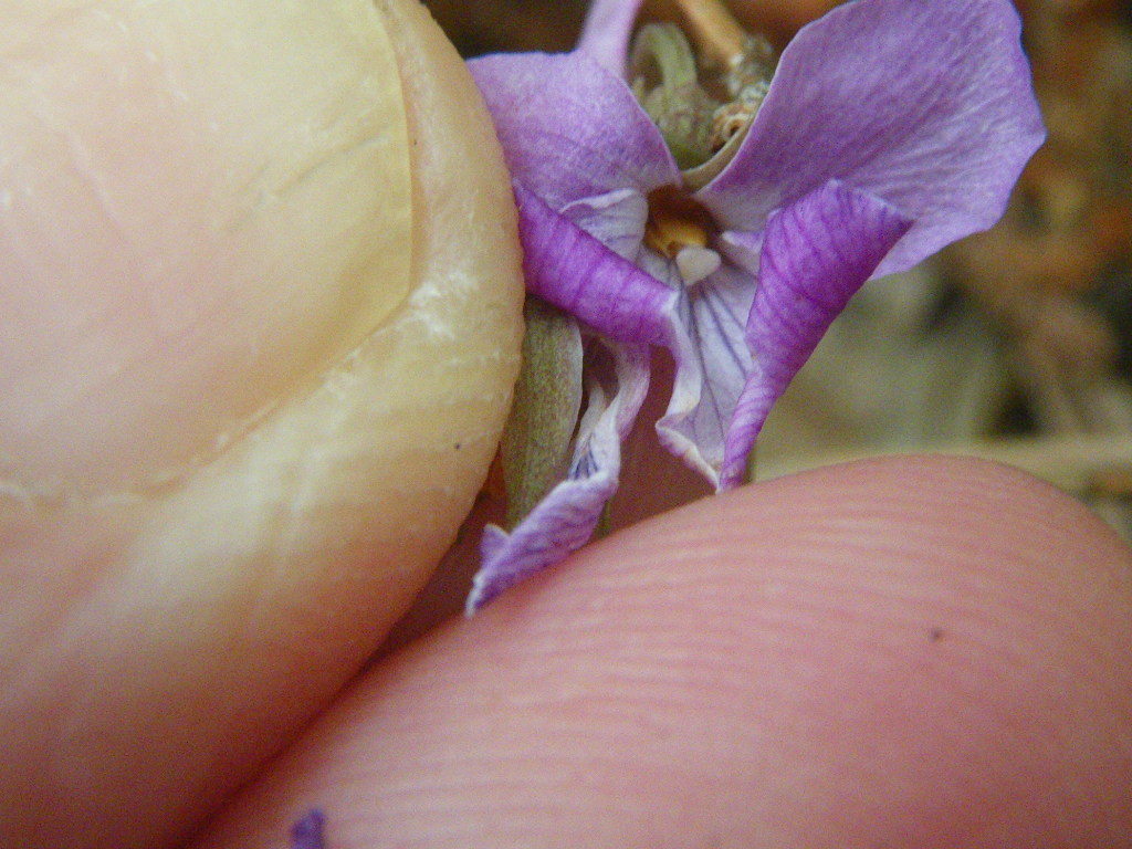 D3a5ed63b01a883745d3c60ddb5032575b752bff