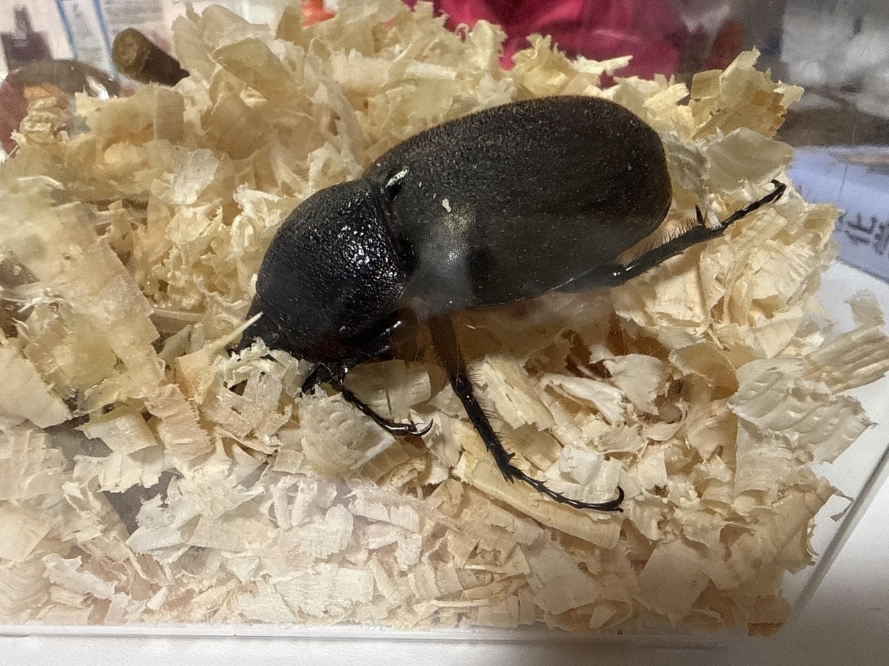 42573d7391a7bc9dcdef39375562aa088c386c85