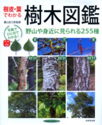 樹木図鑑