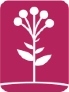 図鑑jpコラム・追補一覧 - 図鑑.jp